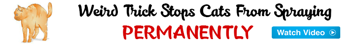 Cat spray