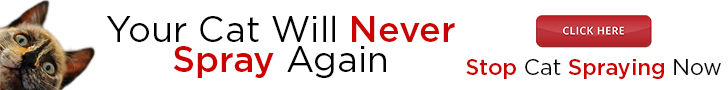Cat spray