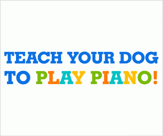 Teach Dog Piano